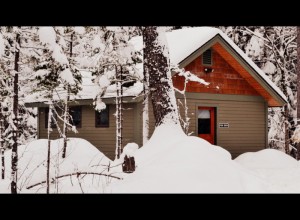 Cabin at Twin Pines