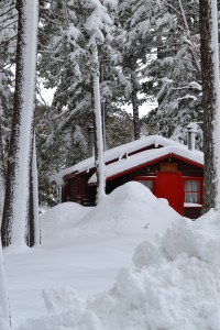 Cabin at NEOC/Twin Pines