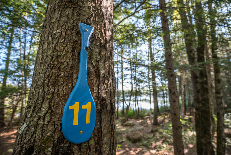 1Campsite Number Sign New England Outdoor Center