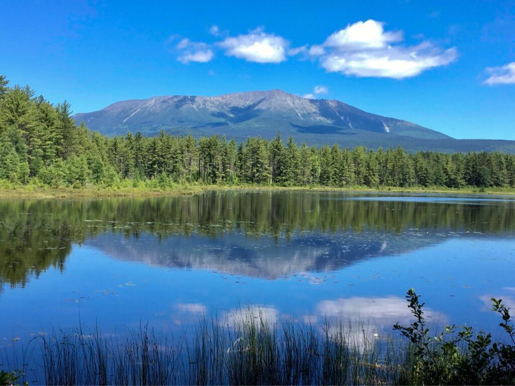 Sunday Pond View