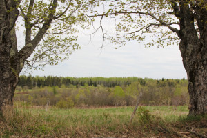 Views of Katahdin from the Scenic Byway