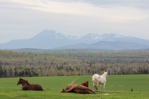 Views of Katahdin from the Scenic Byway