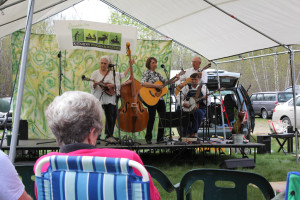 Fiddler and Fiddlehead Festival