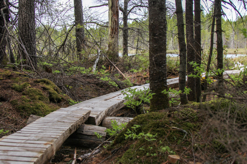 Katahdin loop trail