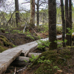 Katahdin loop trail