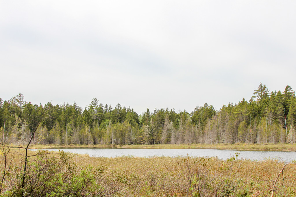 Katahdin woods and waters