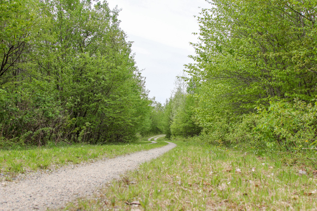 katahdin loop and trails