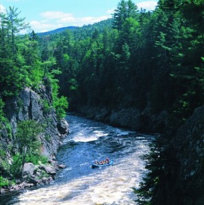 Raft In Gorge