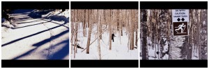 cross country skiing collage