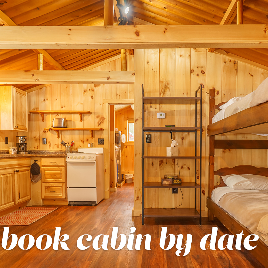 Winter_BookCabinByDate