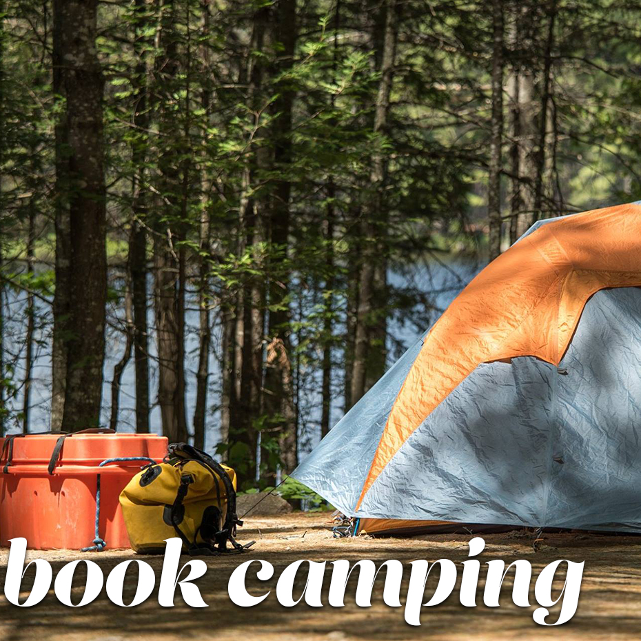 bookcamping
