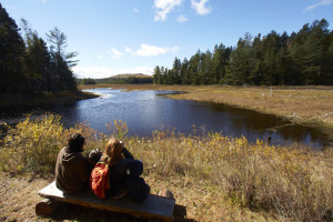 Photo credit: Dennis Welsh for Katahdin Woods & Waters