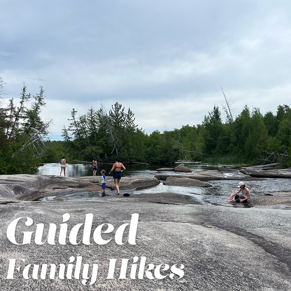 Guided Half Day Hikes