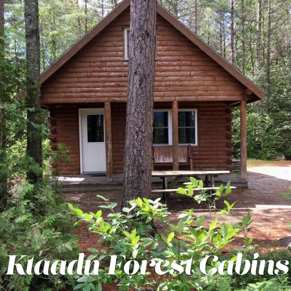 ktaadn forest cabins