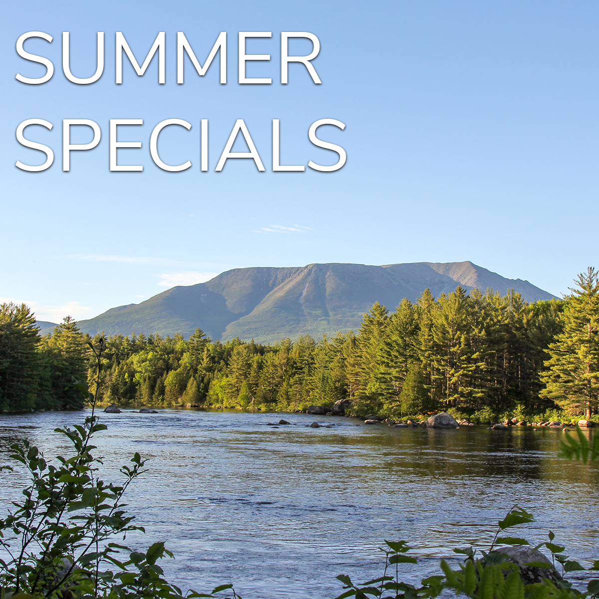 summer specials