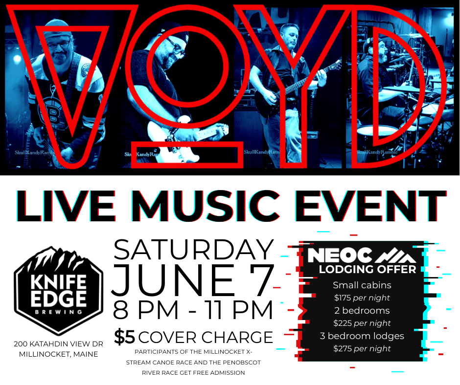 Voyd Flyer