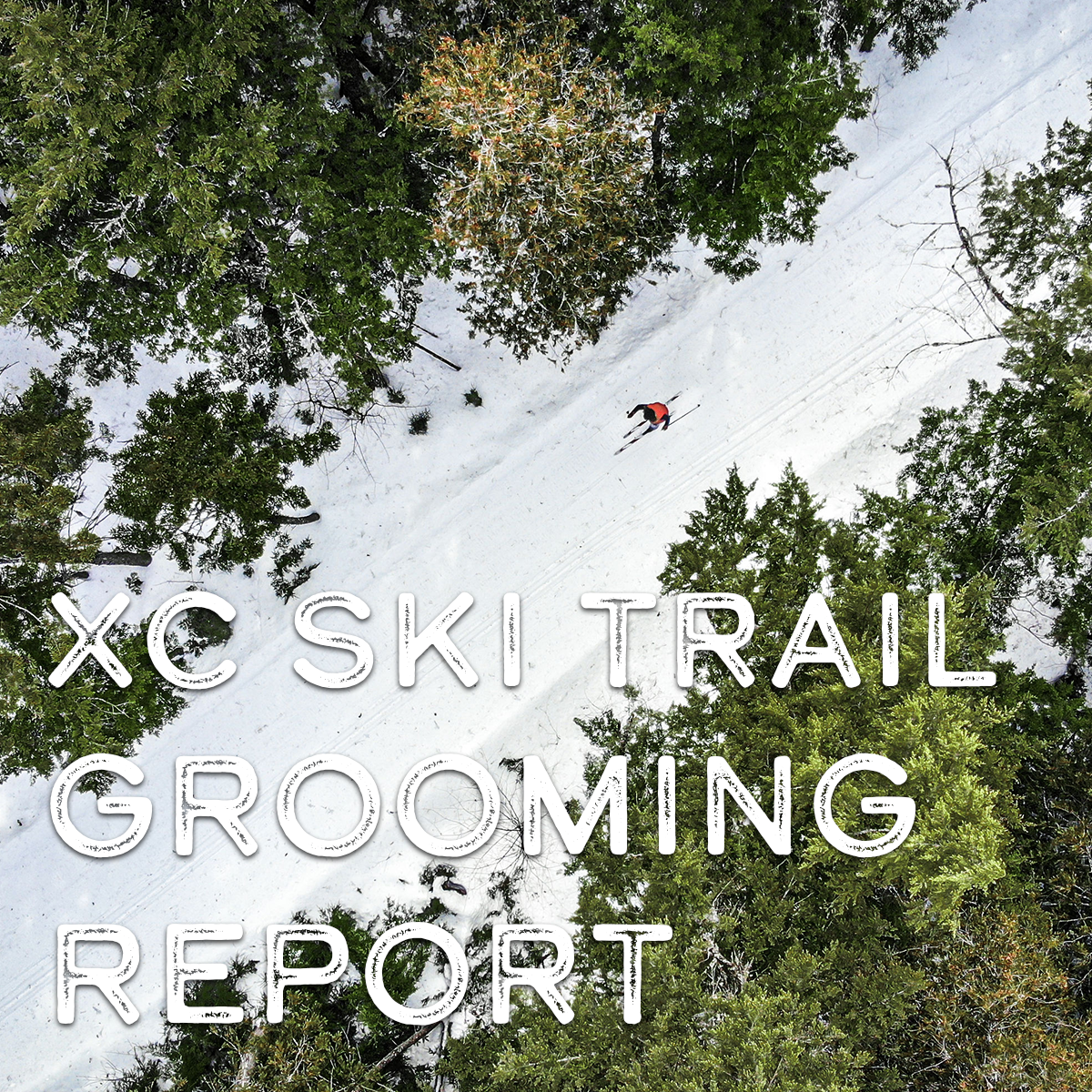xc ski grooming report
